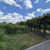 Proprietate exclusivistă cu 7.000 mp teren, piscină și multiple spații adiacente thumb 15
