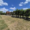 Proprietate exclusivistă cu 7.000 mp teren, piscină și multiple spații adiacente thumb 16