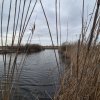 Izvorani - Teren cu deschidere la lac  thumb 2