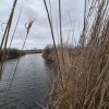 Izvorani - Teren cu deschidere la lac  thumb 5