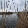 Izvorani - Teren cu deschidere la lac  thumb 7