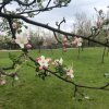Teren intravilan Vălenii de Munte – 3.000 mp Ideal investiție sau locuinta imaginea mica 2 Teren intravilan Vălenii de Munte – 3.000 mp Ideal investiție sau locuinta thumb 2