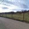 Teren intravilan Vălenii de Munte – 3.000 mp Ideal investiție sau locuinta imaginea mica 10 Teren intravilan Vălenii de Munte – 3.000 mp Ideal investiție sau locuinta thumb 10