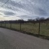 Teren intravilan Vălenii de Munte – 3.000 mp Ideal investiție sau locuinta imaginea mica 16 Teren intravilan Vălenii de Munte – 3.000 mp Ideal investiție sau locuinta thumb 16