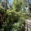 Vilă de vânzare în Domenii – Mănăstirea Cașin, oază de liniste imaginea mica 15 Vilă de vânzare în Domenii – Mănăstirea Cașin, oază de liniste thumb 15