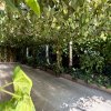Vilă de vânzare în Domenii – Mănăstirea Cașin, oază de liniste imaginea mica 16 Vilă de vânzare în Domenii – Mănăstirea Cașin, oază de liniste thumb 16