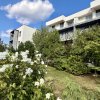 Apartament 2 camere de închiriat în Tunari – zona 1 Decembrie Loc parcare inclus imaginea mica 1 Apartament 2 camere de închiriat în Tunari – zona 1 Decembrie Loc parcare inclus thumb 1
