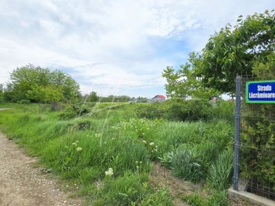 Teren intravilan in zona rezidentiala, Bolintin Deal - A1