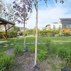 Apartament intim in bloc elegant cu gradina - Sisesti 59 thumb 58