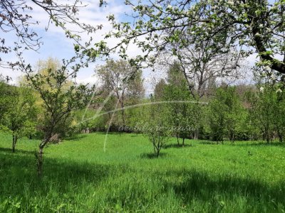 Teren de 1740 mp in Provita de Sus-constructie intabulata-ideal pentru renovare.