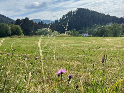 Teren 400 mp.  intravilan cu aut. constructie  in Sacele -jud. Brasov