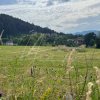 Teren 400 mp.  intravilan cu aut. constructie  in Sacele -jud. Brasov thumb 7