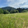 Teren 400 mp.  intravilan cu aut. constructie  in Sacele -jud. Brasov thumb 9
