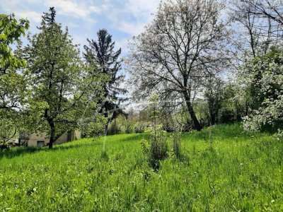 Teren intravilan de 1740 mp cu constructie in Provita de Sus-PH. Casa gratis!