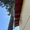Teren intravilan de 1740 mp cu constructie in Provita de Sus-PH. Casa gratis! thumb 38