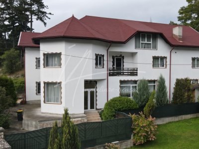 Vila-Casa de vacanta I Potential turistic I 8 camere I Rucar