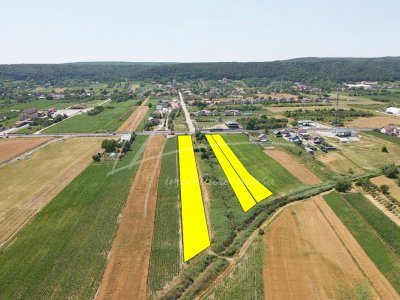 Teren cu potențial de dezvoltare –7427 mp în Argeșelu, Mărăcineni, județul Arges