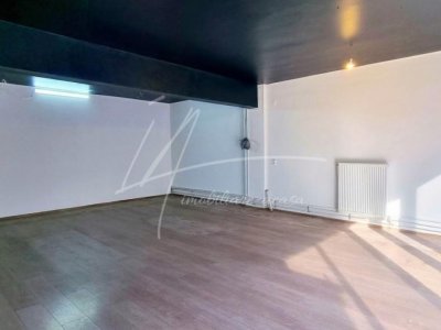 COMISION 0% SPATIU COMERCIAL STRADAL MAICA DOMNULUI  B-DUL LACUL TEI