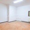 COMISION 0% SPATIU COMERCIAL STRADAL MAICA DOMNULUI  B-DUL LACUL TEI thumb 14