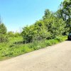 Teren intravilan, 2 fronturi, Drumul Padurea Pustnicu 65 - Greenfield thumb 5