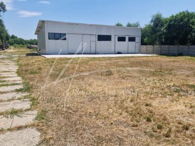 Teren langa padure,aproape de Bucuresti 10 275 mp de liniste.