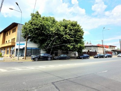 Pieptanari 100. Casele din umbra teilor. Rezidential sau comercial?