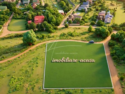 Teren intravilan la Teghes – pozitionare excelenta langa padure
