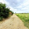 TEREN INTRAVILAN DE VÂNZARE – POZIȚIONARE EXCELENTĂ LÂNGĂ PĂDURE imaginea mica 8 TEREN INTRAVILAN DE VÂNZARE – POZIȚIONARE EXCELENTĂ LÂNGĂ PĂDURE thumb 8