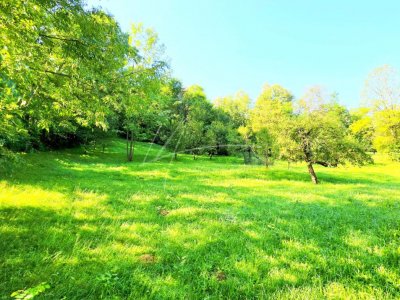 TEREN IN SUPRFATA DE 2870 MP IN PROVITA DE SUS VALEA BRADULUI JUD PRAHOVA