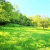 TEREN IN SUPRFATA DE 2870 MP IN PROVITA DE SUS VALEA BRADULUI JUD PRAHOVA imaginea mica 1 TEREN IN SUPRFATA DE 2870 MP IN PROVITA DE SUS VALEA BRADULUI JUD PRAHOVA thumb 1